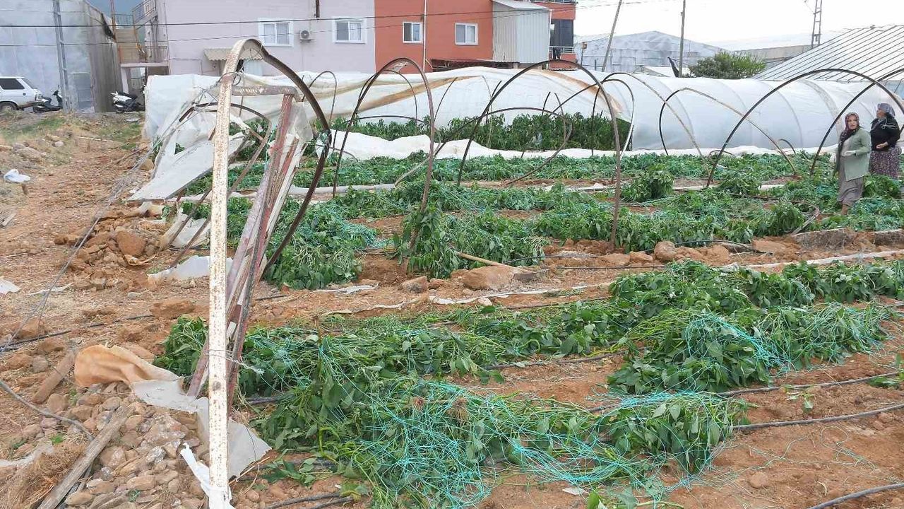 Bozyazı'da Fırtına ve Hortum Seraları Vurdu