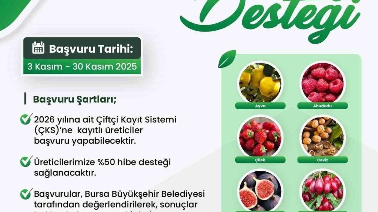 Bursa Büyükşehir Belediyesi'nden Fide ve Fidan Desteği