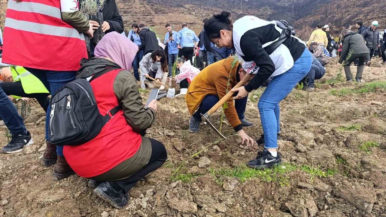 Bursa'da Yeniden Yeşeren Ormanlar: Milli Ağaçlandırma Günü Kutlandı