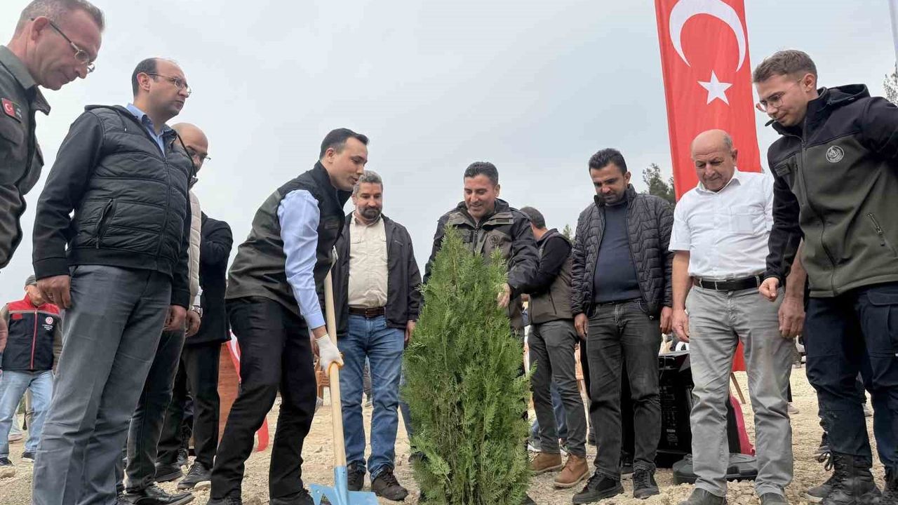 Çamlıyayla'da Ağaçlandırma Etkinliği Başarıyla Gerçekleşti