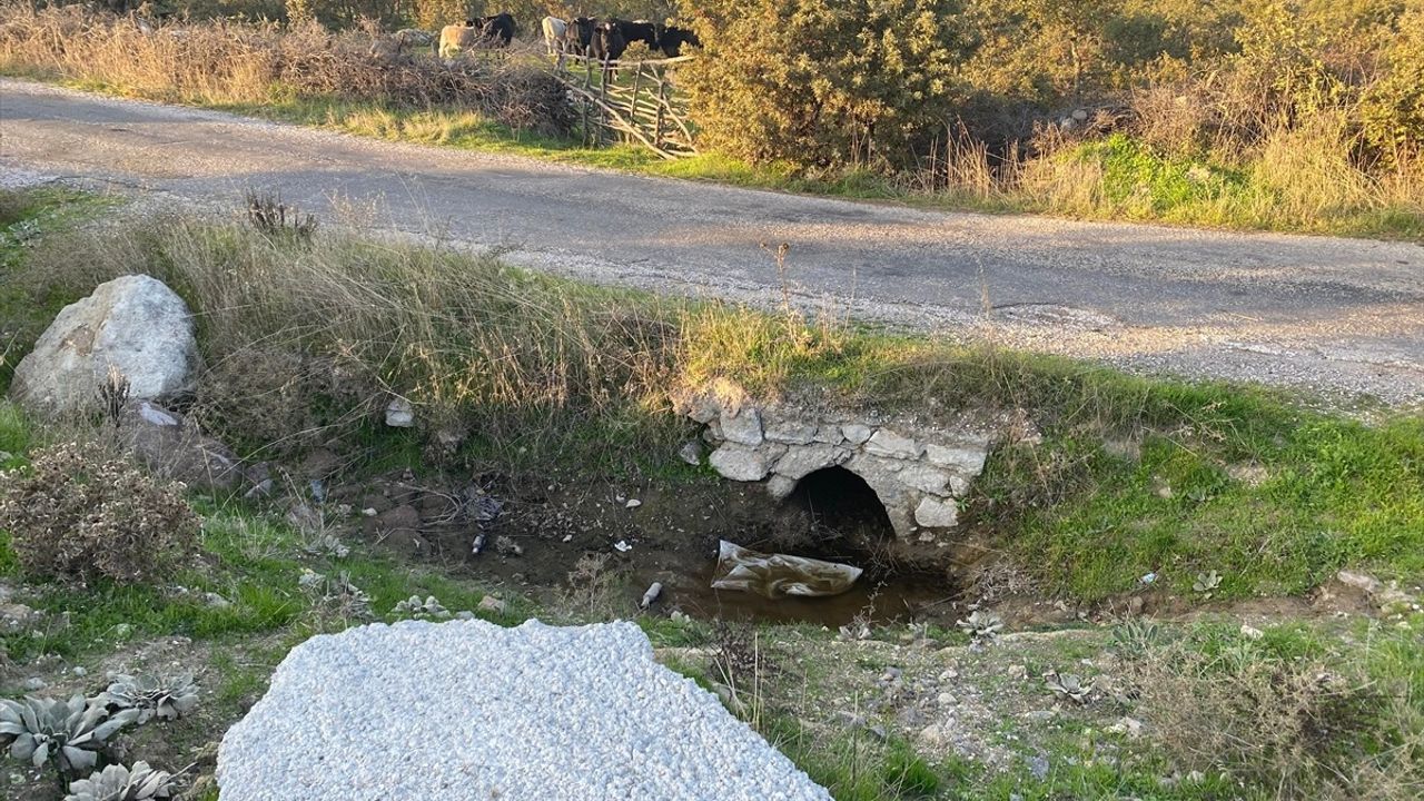 Çanakkale'de Bebek Cesedi Bulundu
