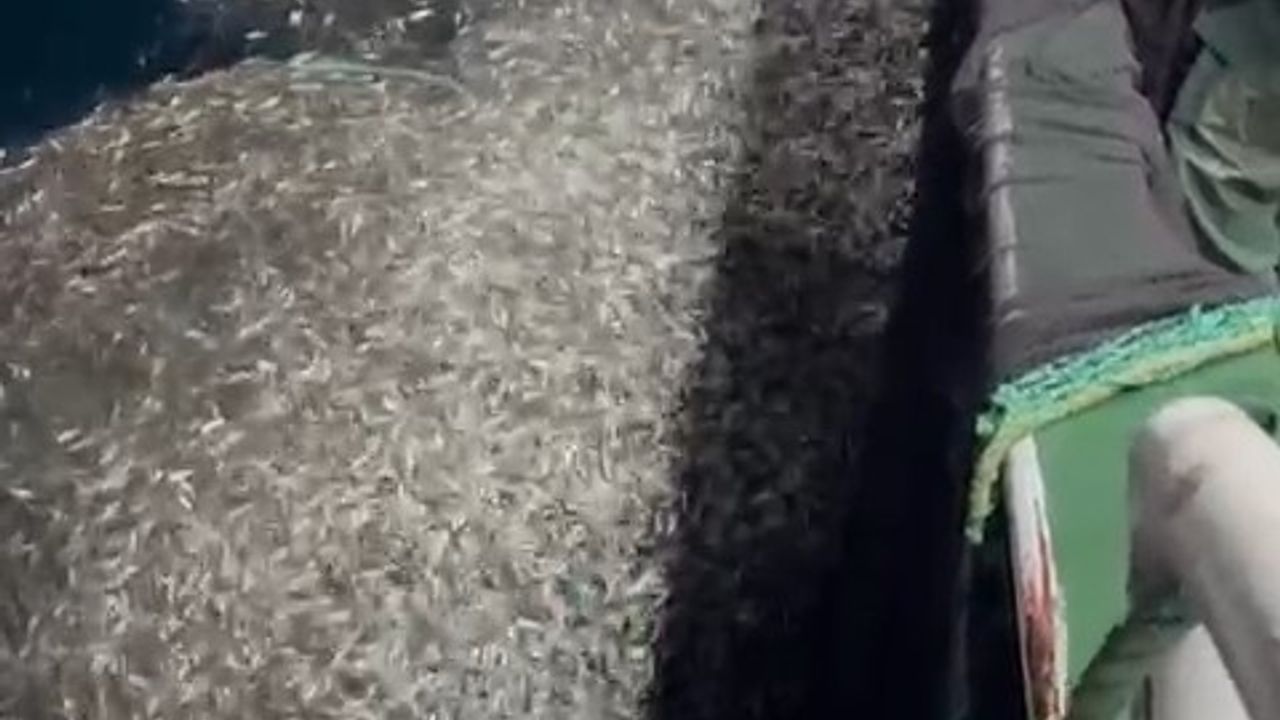 Çanakkale'de Bilinçli Balıkçılık Uygulaması