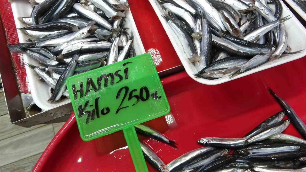 Çanakkale'de Hamsi ve Sardalya Balık Tezgahlarında Öne Çıkıyor