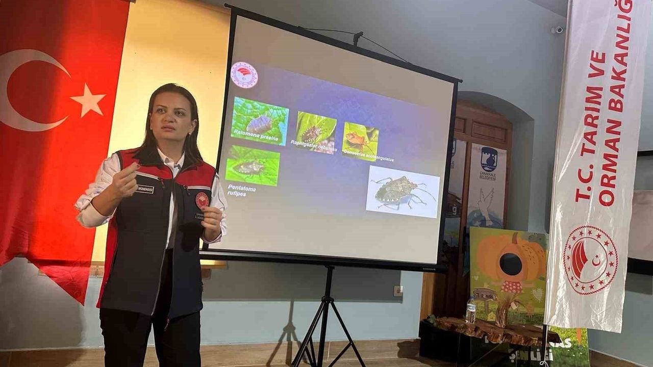 Çanakkale'de Kahverengi Kokarca ile Mücadelede Samuray Arıları Kullanılacak