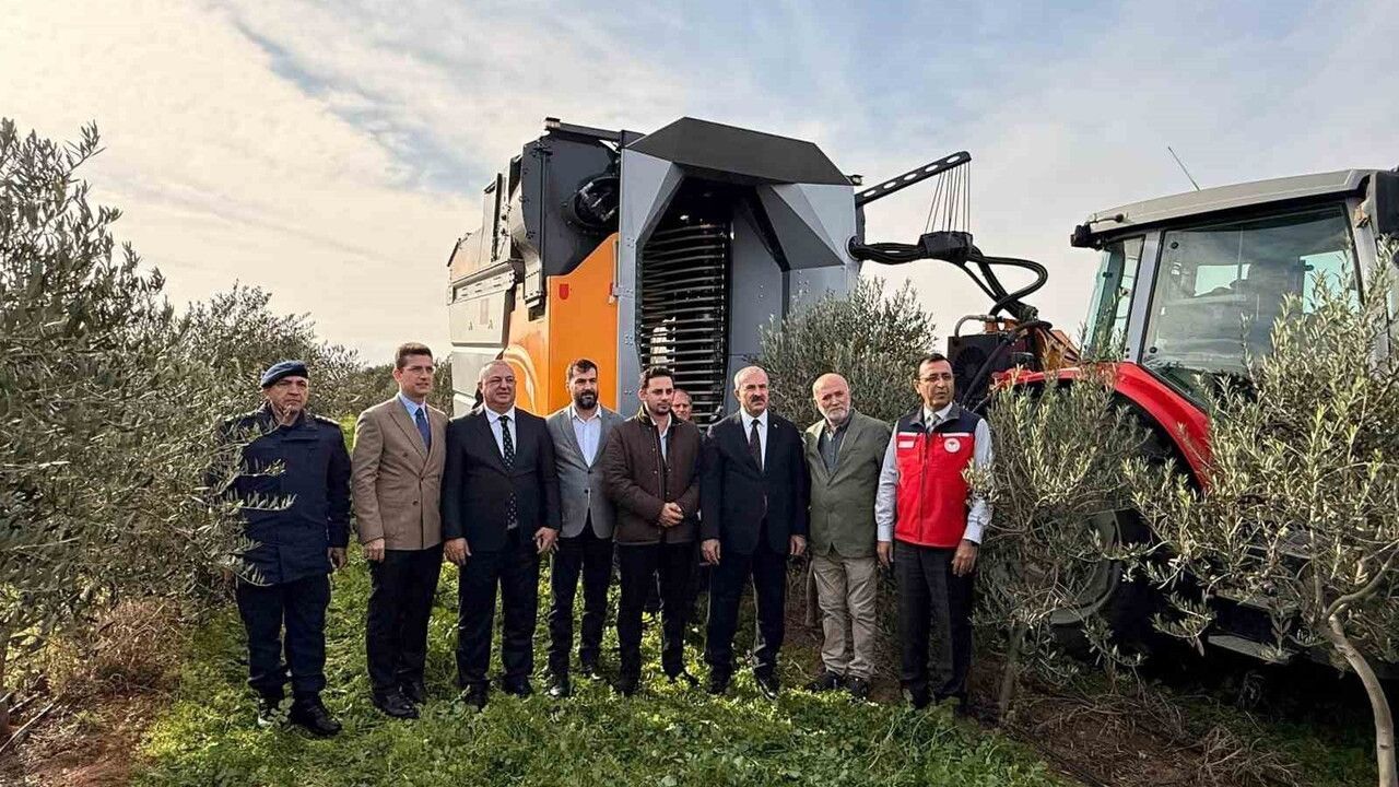 Çanakkale'de Protokol Eşliğinde Zeytin Hasadı