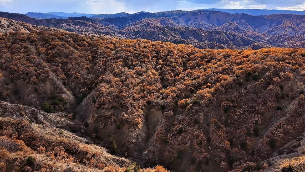 Çankırı'da Sonbaharın Renk Cümbüşü