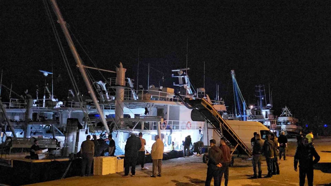 Cide'de Balıkçı Barınağında Kavga: İki Yaralı