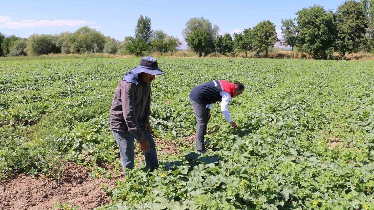 ÇKS Başvuruları İçin Son Tarih Yaklaşıyor