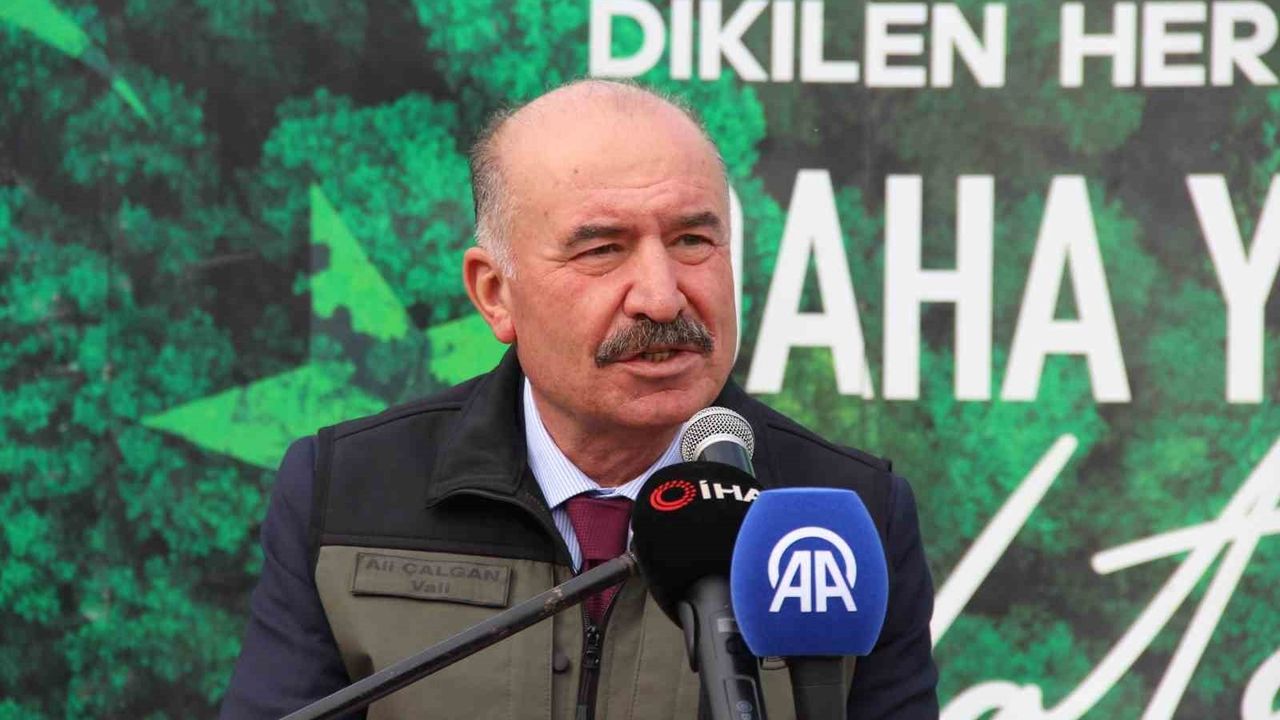 Çorum'da Binlerce Fidan Toprakla Buluşturuldu