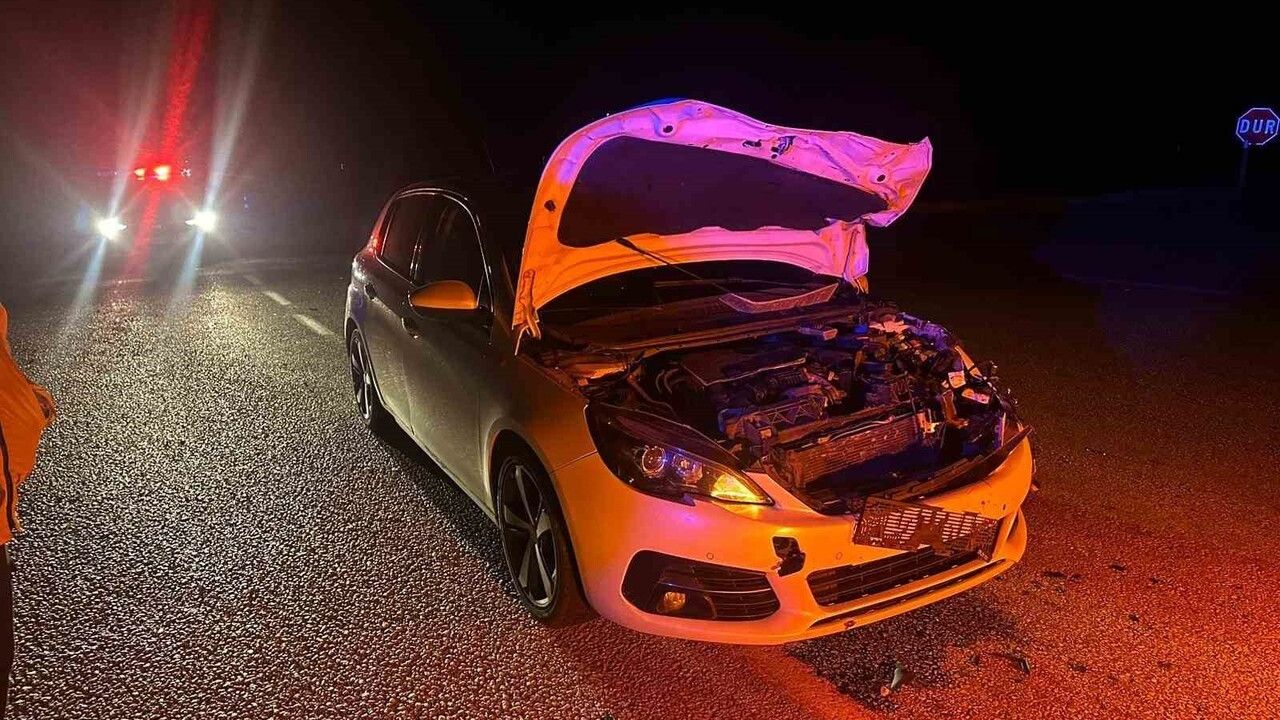 Çorum'da Yola Çıkan Danaya Çarpan Otomobilde İki Kişi Yaralandı