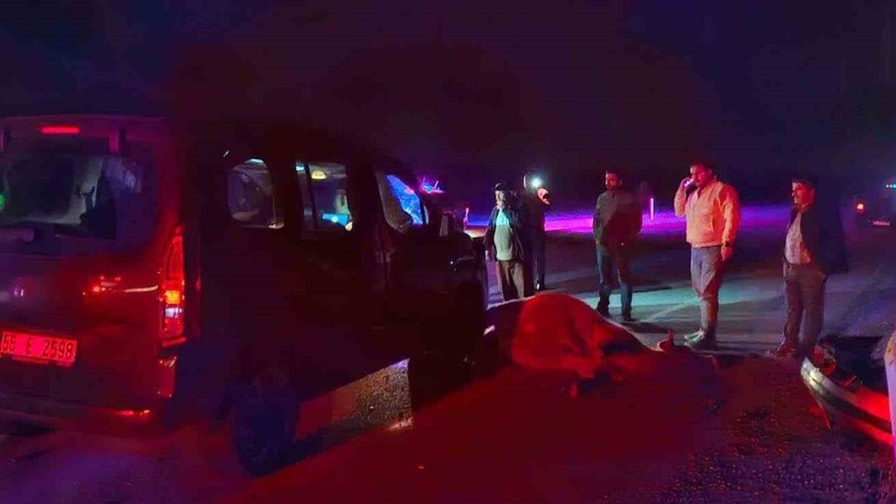 Çorum'da Yolda Dana Kazası: 3 Yaralı