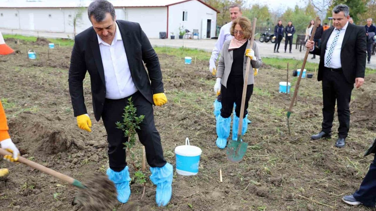 Dalaman Açık Ceza İnfaz Kurumunda Sakız Ağacı Fidanı Dikimi