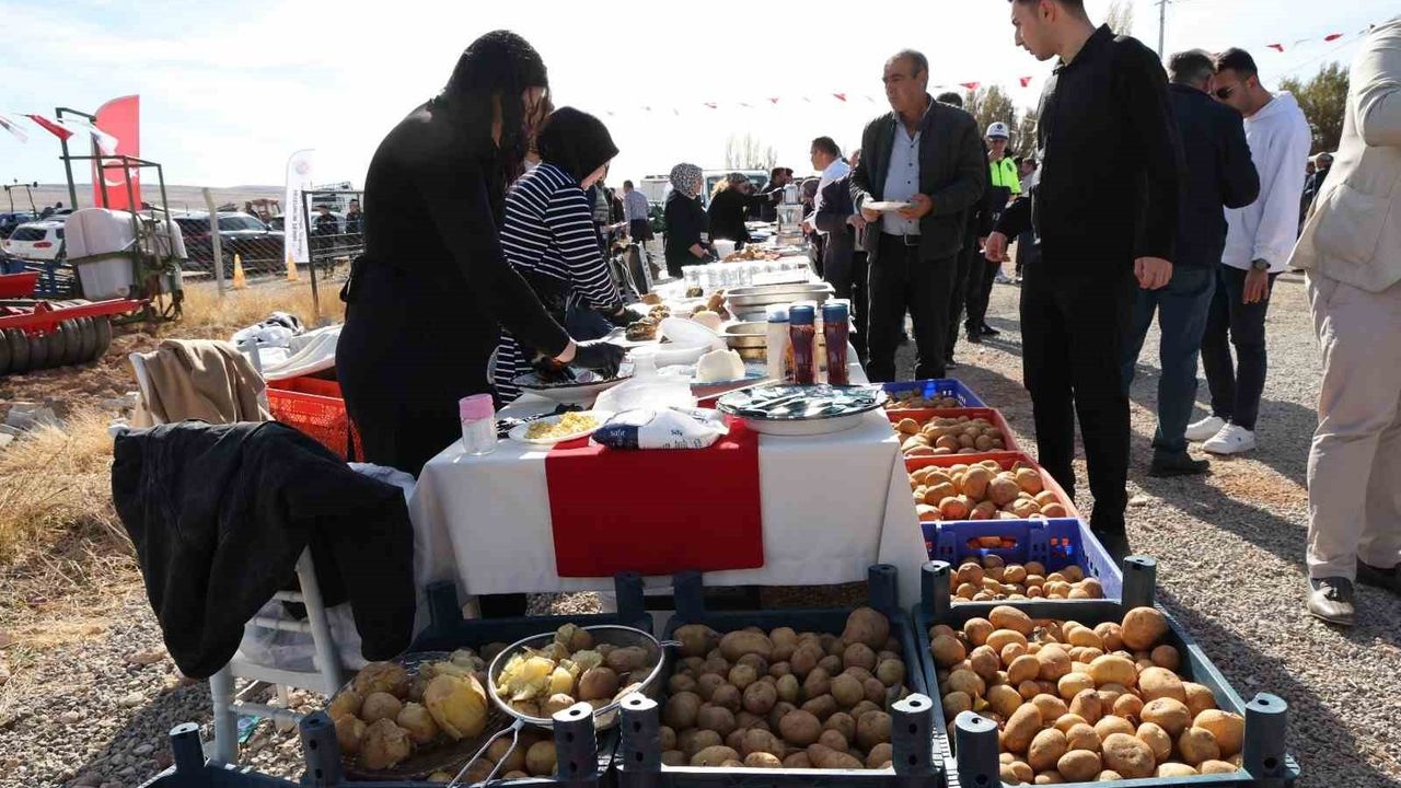 Darende'de İlk Yerli Patates Tohumu Şenliği Düzenlendi