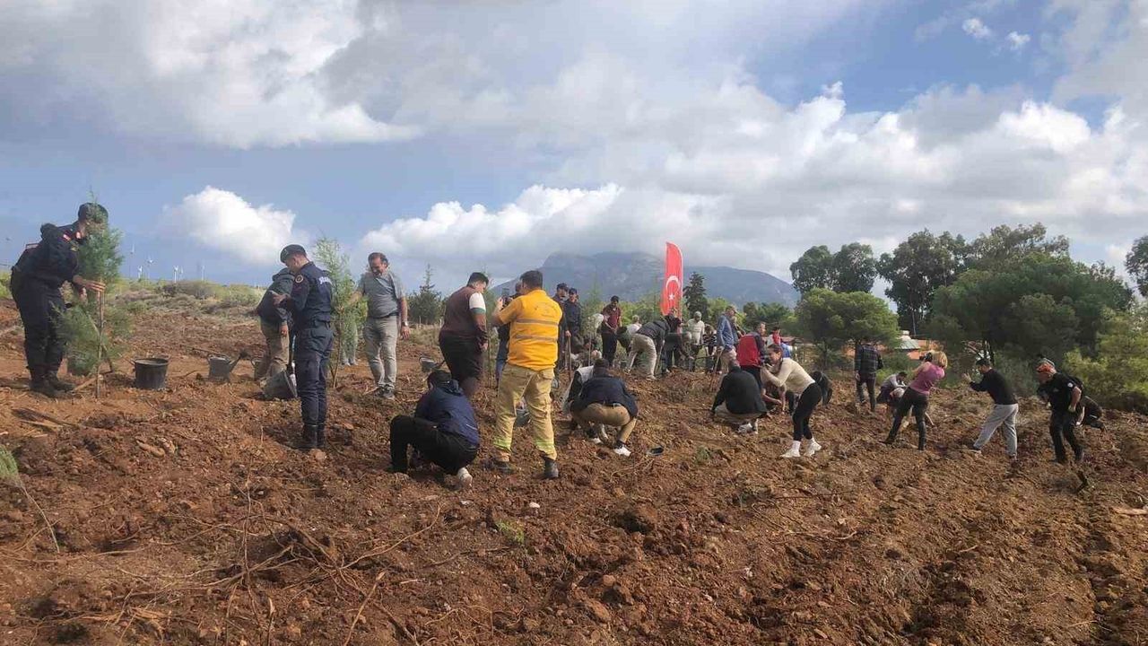 Datça’da Fidanlar Toprakla Buluştu