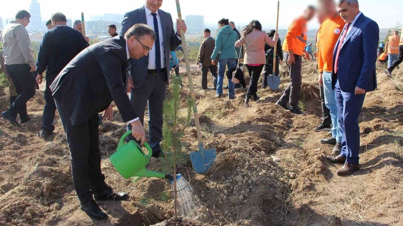 Denetimli Serbestlik Yükümlüleri Fidan Dikti