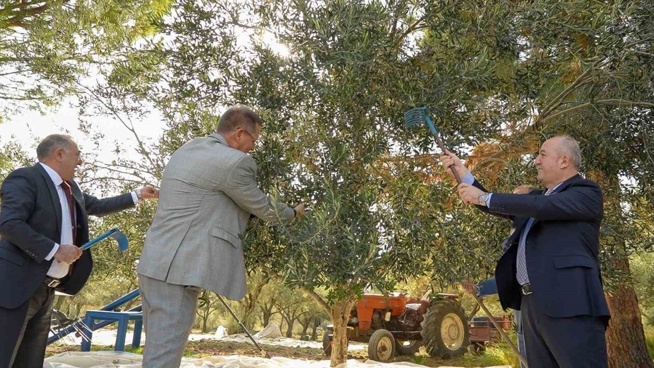 Denetimli Serbestlik Yükümlülerinden Anlamlı Zeytin Hasadı