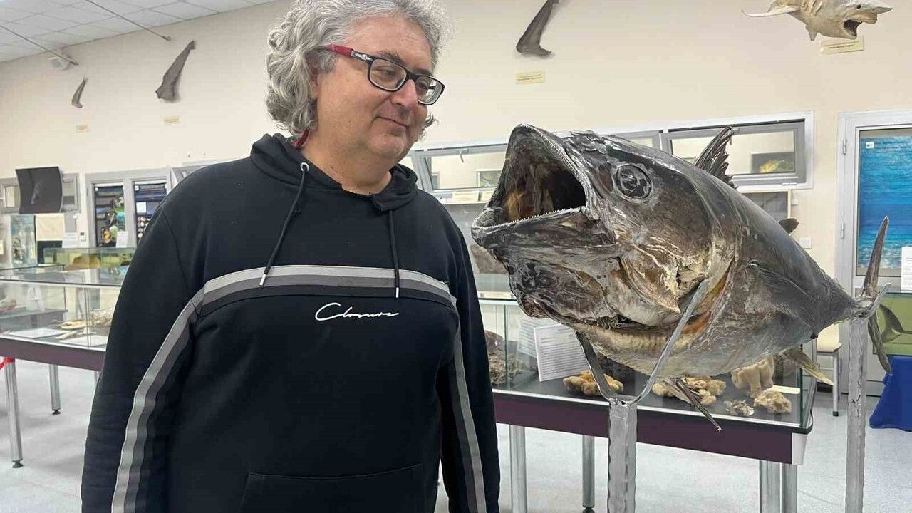 Deniz Canlıları Koleksiyon Merkezi: Nadir Türlerin Sergilendiği Eşsiz Bir Müzeyi Keşfedin!