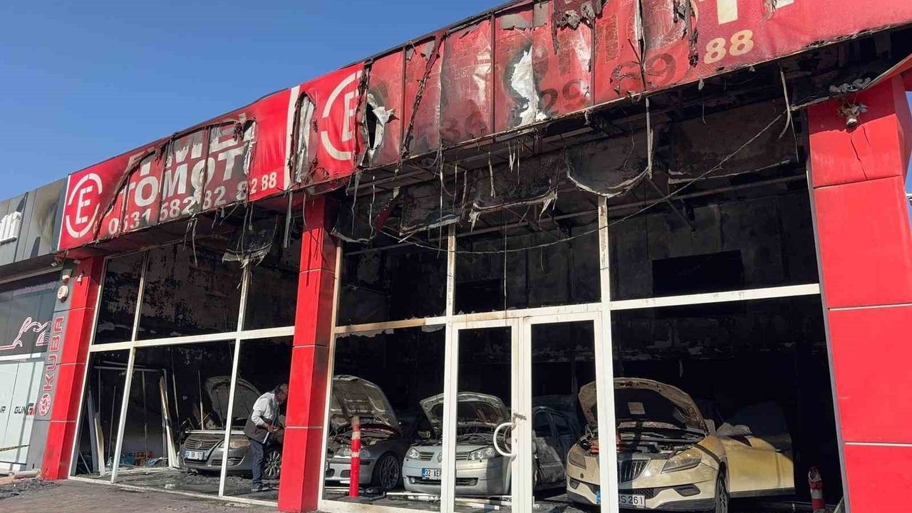 Denizli'de Kundakçı İtiraf Etti