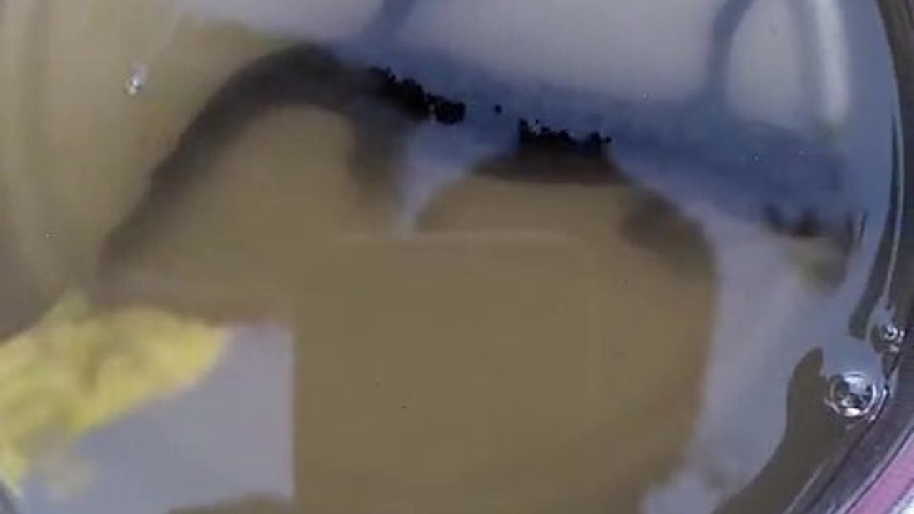 Denizli'de Tarihi Kuyudan Semenderler Çıktı