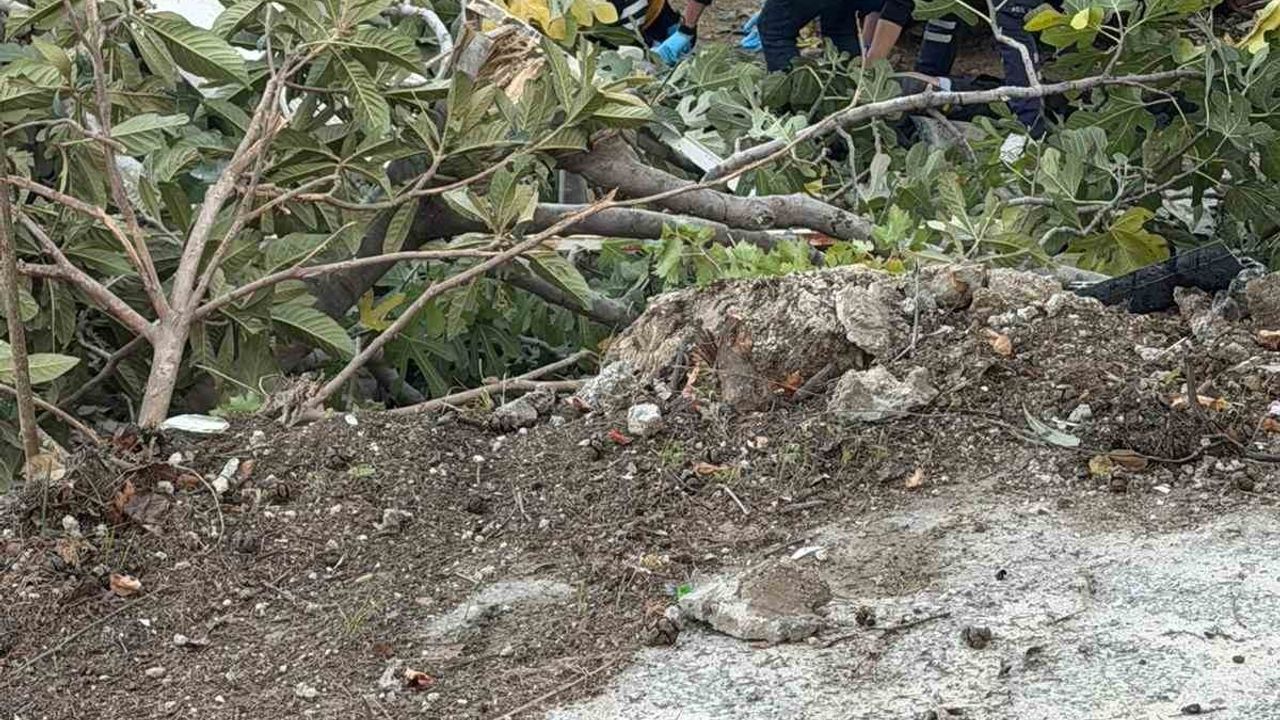 Denizli'de Trafik Kazası: 1 Ölü, 3 Yaralı