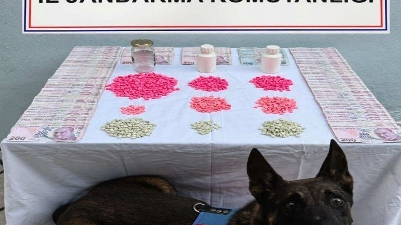 Denizli'de Uyuşturucu Operasyonu Düzenlendi