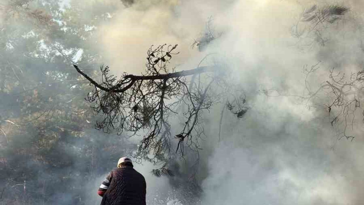Denizli'de Yangına Sütle Müdahale