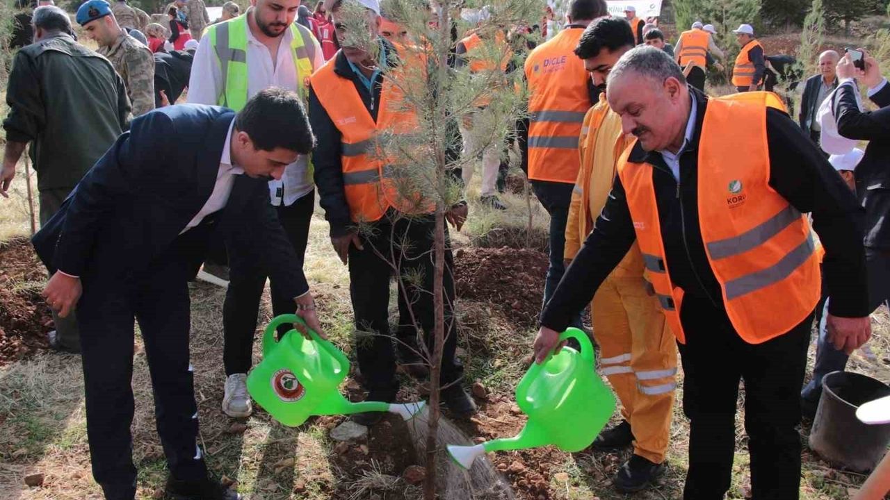 DEPSAŞ Enerji'den Makam Dağı'na 3 Bin Fidan