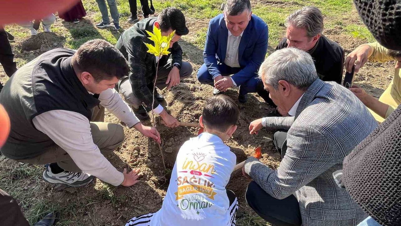 Devrek’te Fidan Dikim Etkinliği