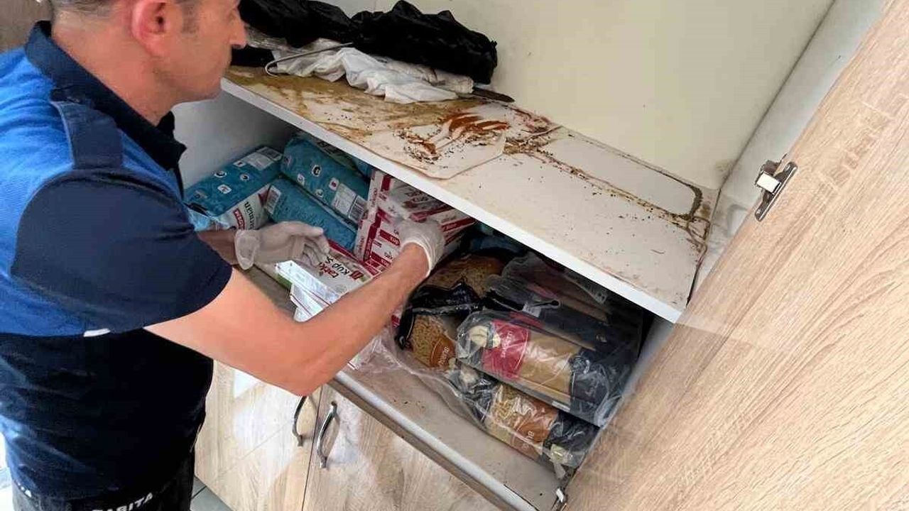 Devrek'te Hijyen İhlalleri Zinciri