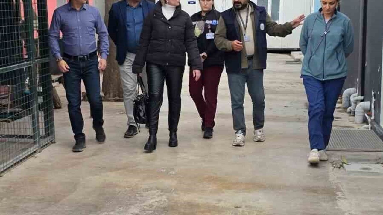 Didim Belediyesi Hayvan Haklarına Destek Vermekte