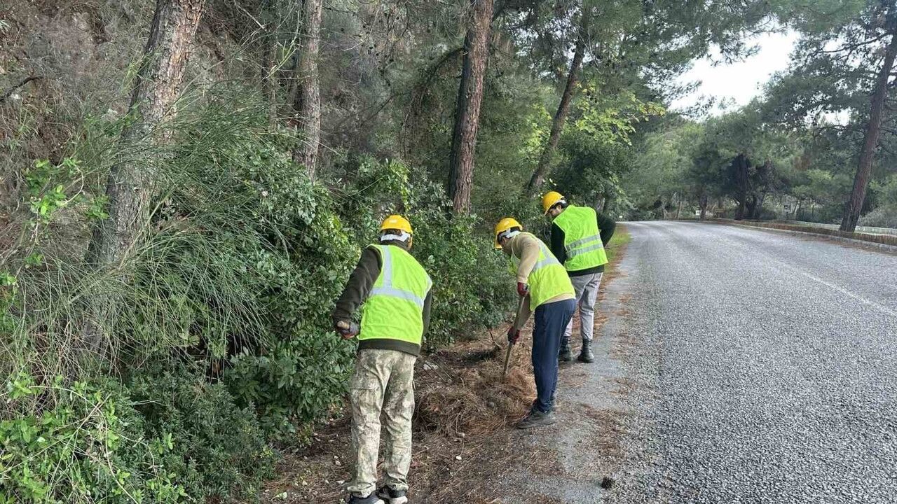 Dilek Yarımadası Milli Parkı'nda Yangın Riskini Azaltma Çalışmaları