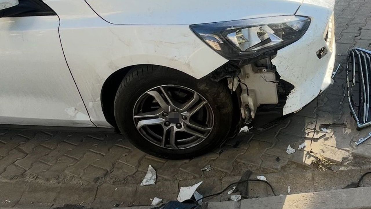 Divriği'de Sokak Köpekleri Otomobile Zarar Verdi