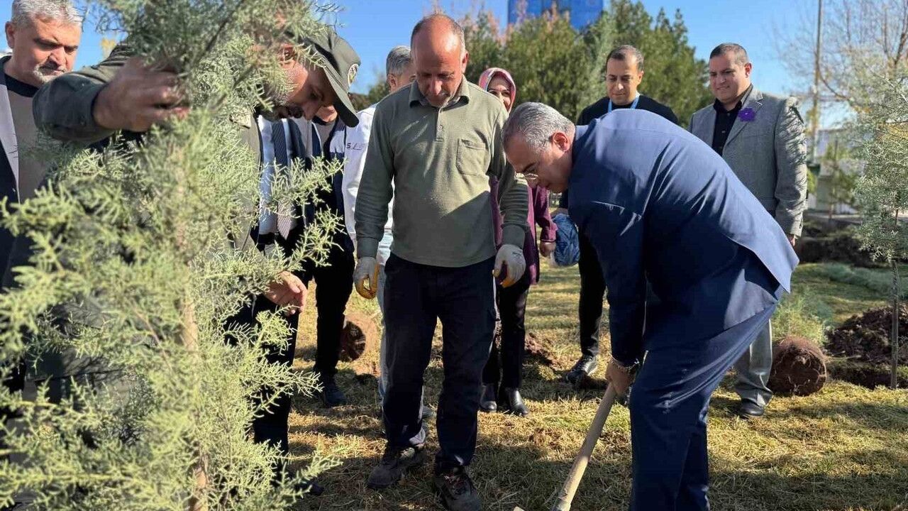 Diyarbakır'da Anlamlı Dünya Prematüre Günü Etkinliği