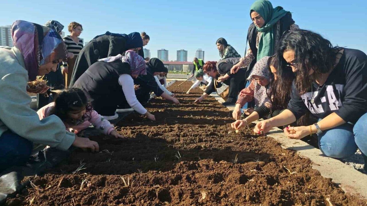 Diyarbakır'da Kadınlar için Safran Ekim Atölyesi Düzenlendi