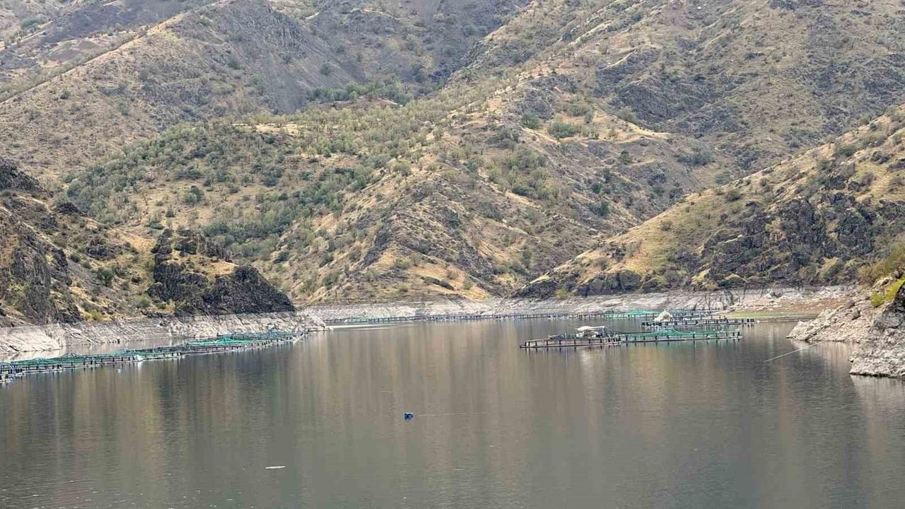 Diyarbakır'da Mezopotamya Somonu Dünyaya Açılıyor