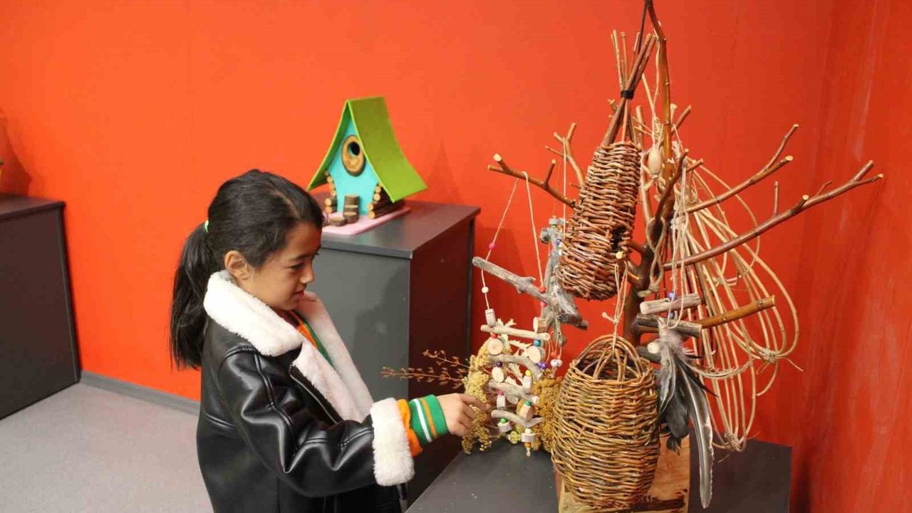 Doğadan Kuş Evleri: Abdülkadir Dağlı'nın Çabası