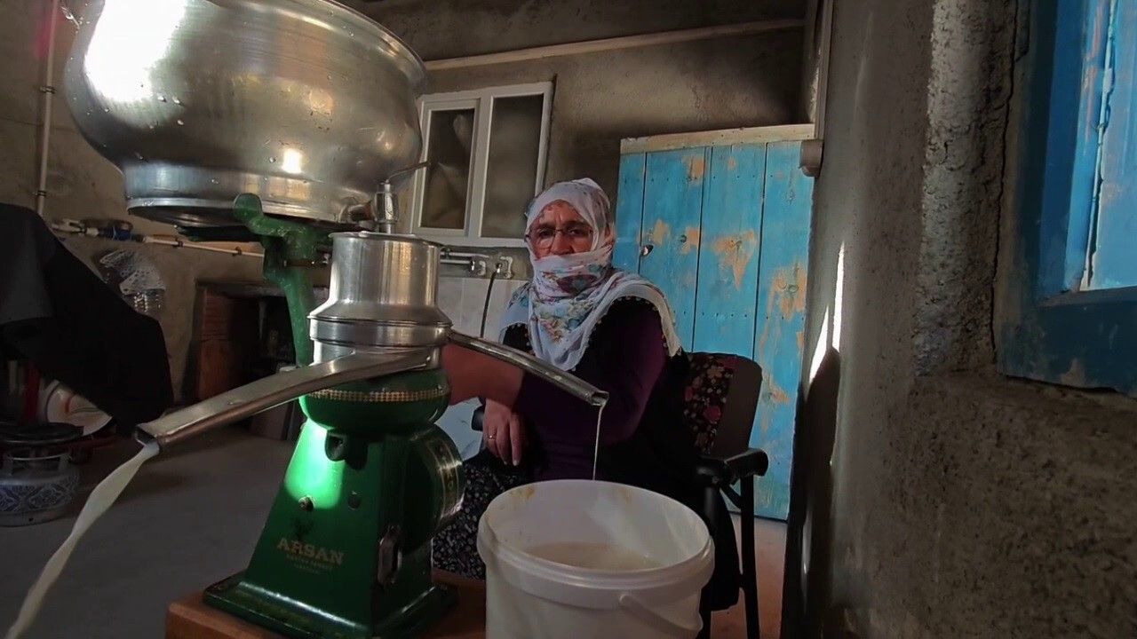 Doğanın Şifalı Lezzeti: Erzurum'un Göğermiş Peyniri