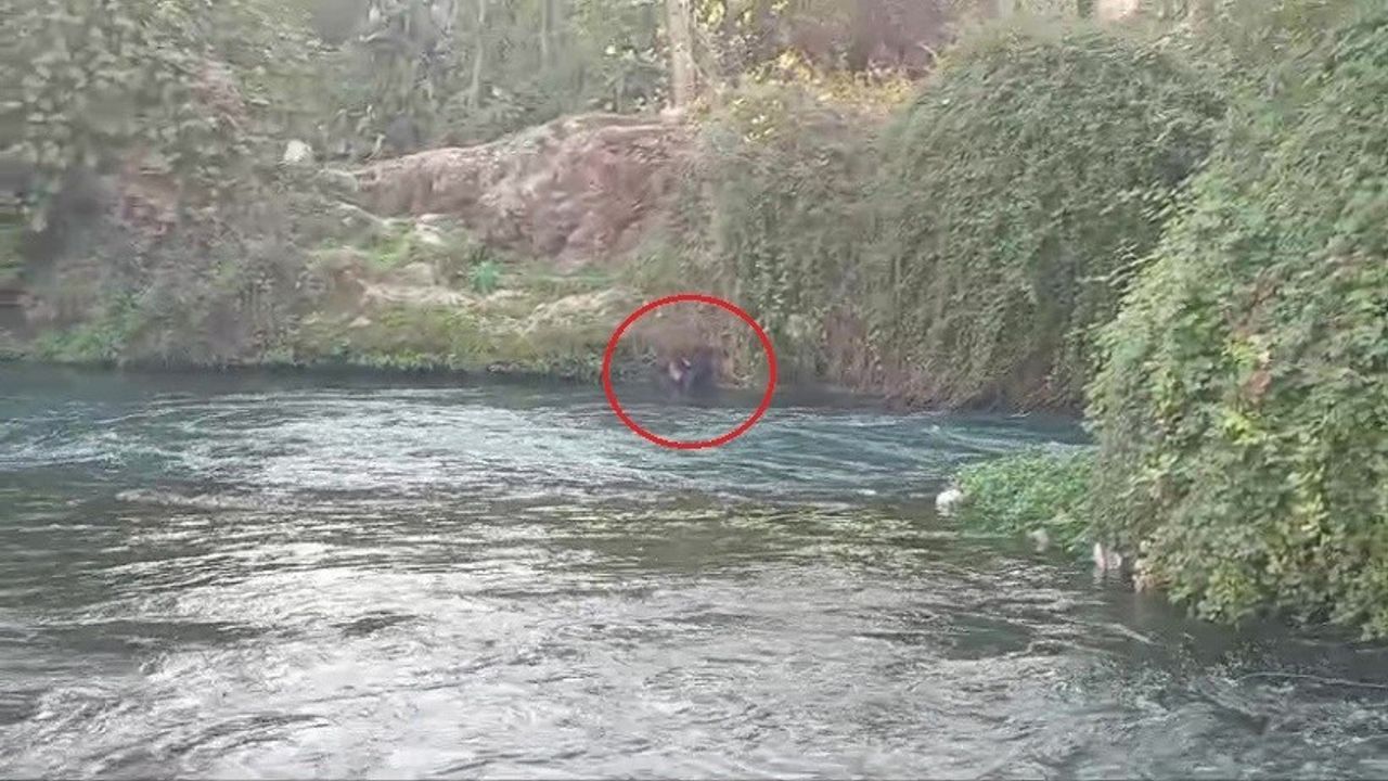 Düden Çayı'nda Yaşanan Kurtarma Operasyonu