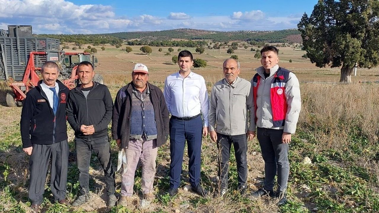 Dumlupınar Kaymakamı Teltik, Şeker Pancarı Hasadını Yerinde İnceledi