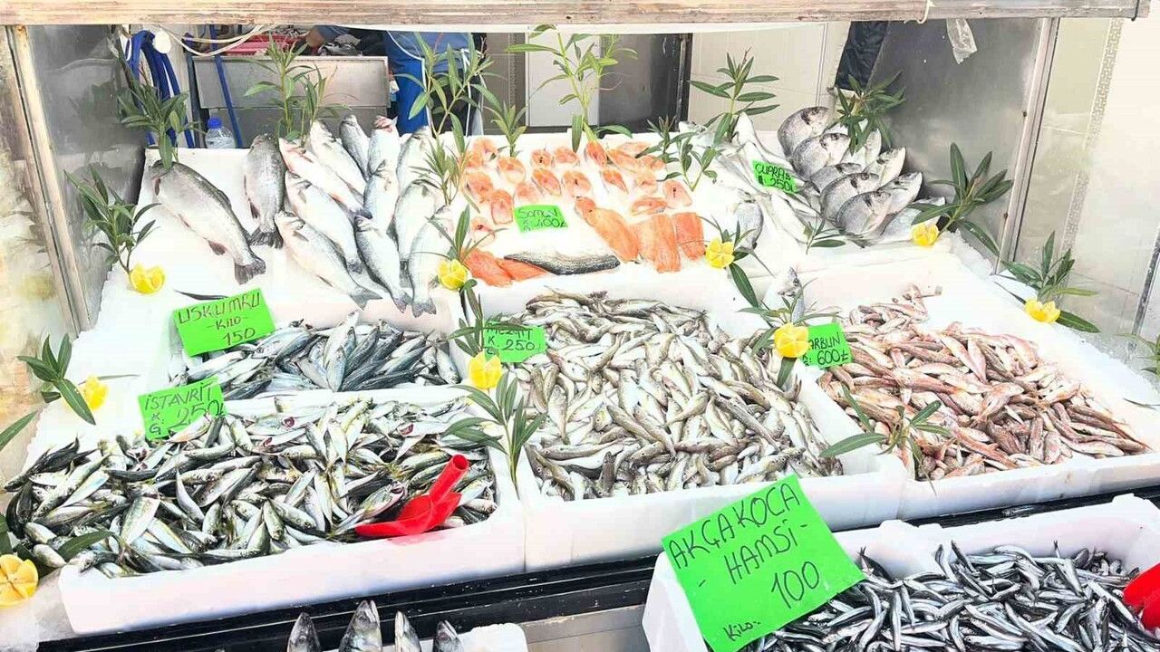 Düzce'de Balık Fiyatları Düşüyor: Vatandaşların İlgisi Artıyor