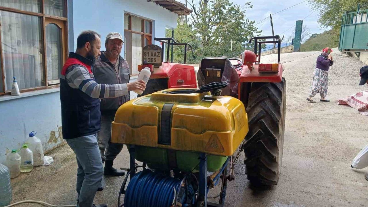 Düzce'de Kahverengi Kokarca İle Mücadele Devam Ediyor