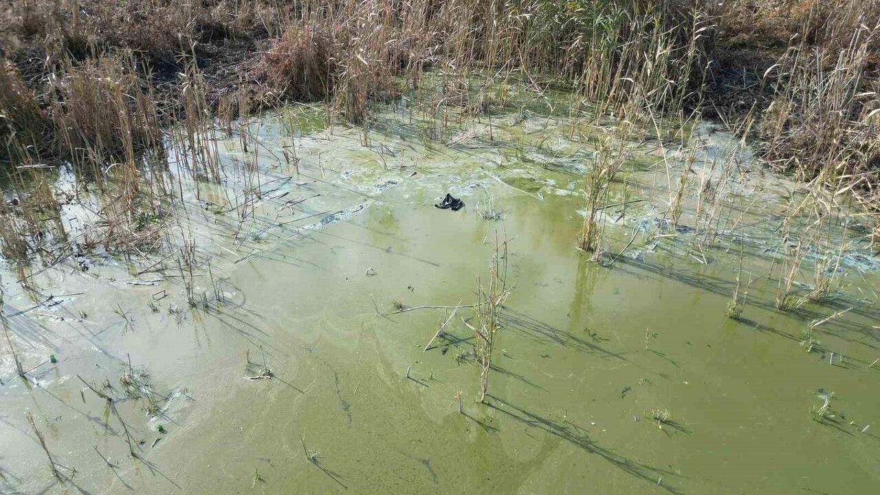 Eber Gölü Kirlenme Sorunuyla Karşı Karşıya