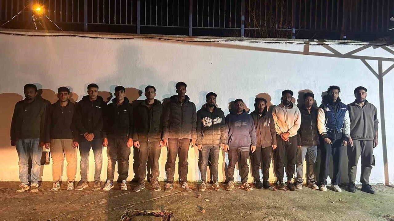 Edirne'de Düzensiz Göçmen Yakalandı