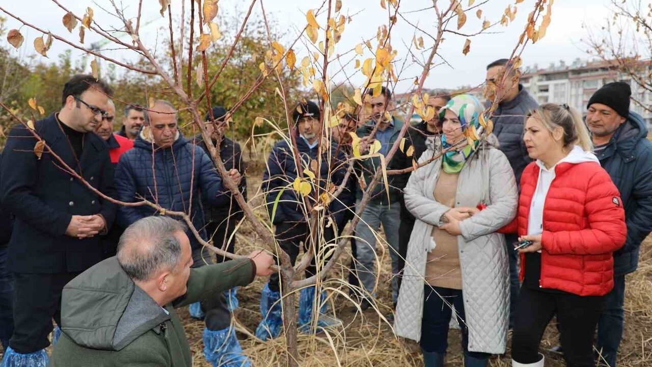 Elazığ'da Ağaç Budama ve Aşılama Eğitimi Düzenlendi