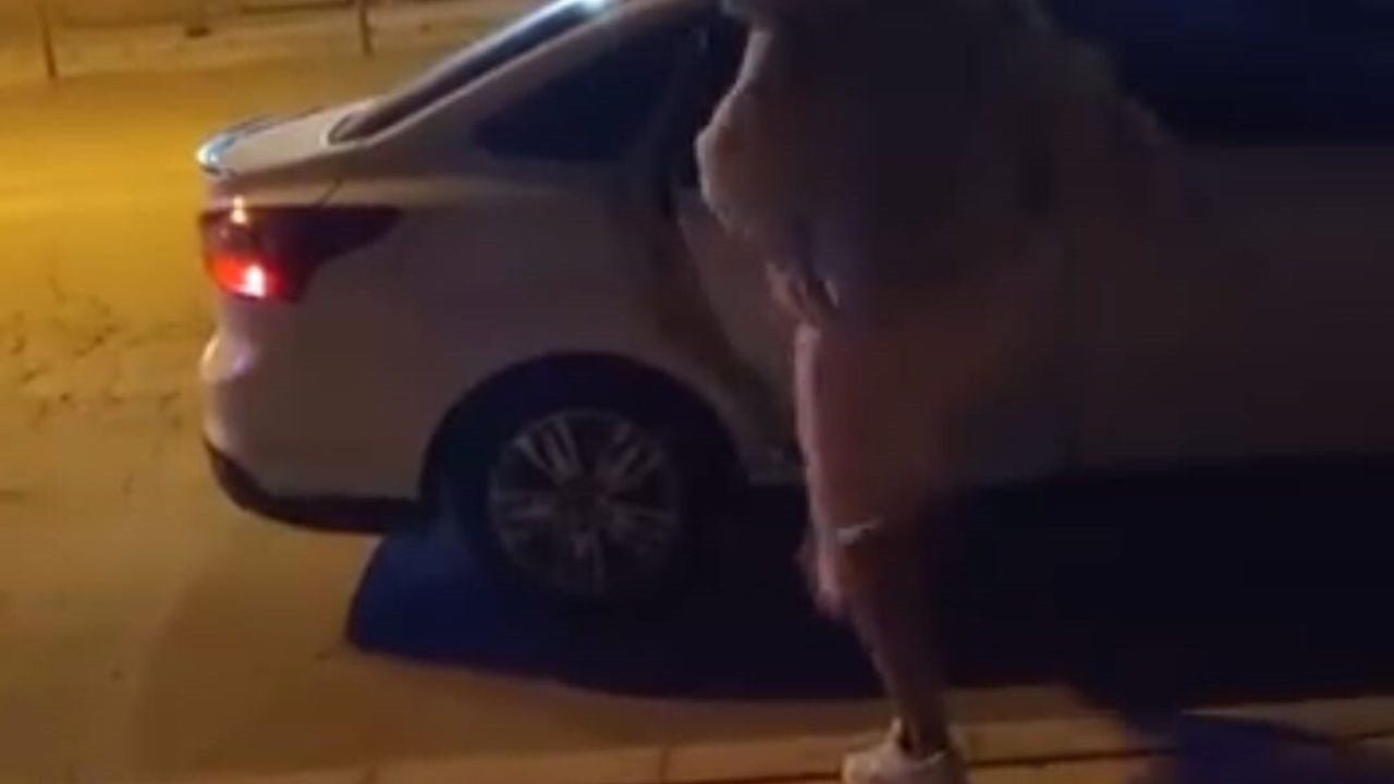 Elazığ'da Kadın Arabaya Saldırdı