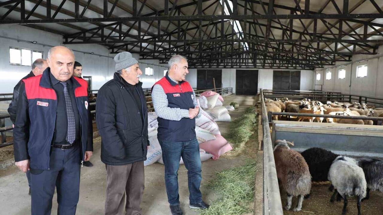 Elazığ'da Kırsal Kalkınma Yatırımlarıyla Küçükbaş Hayvan Çiftliği Kuruldu