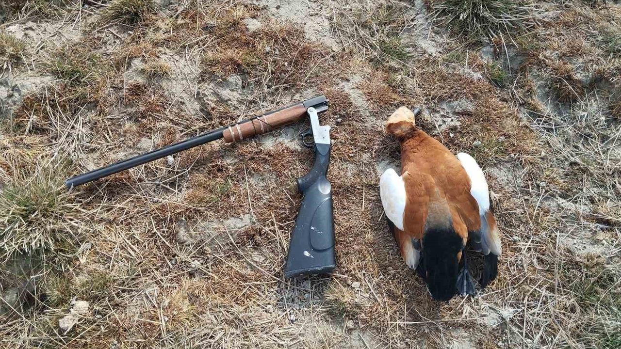 Erciş'te Kaçak Avcılıkla Mücadele Denetimleri