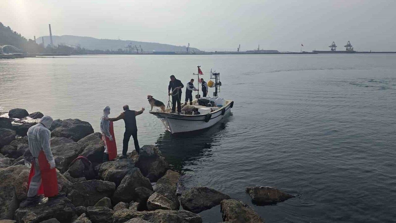 Ereğli'de 16. Hamsi Festivali Yoğun İlgililerle Gerçekleşti