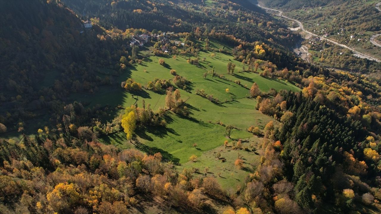 Ersizlerdere Kanyonu: Sonbaharın Renk Cümbüşü