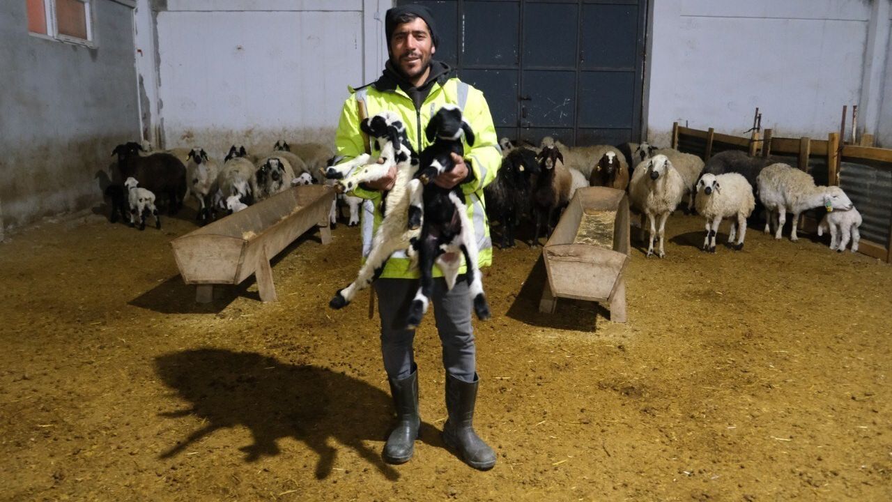 Erzincan'da 50% Hibe Desteğiyle Yeni Bir Çiftlik Kuruldu